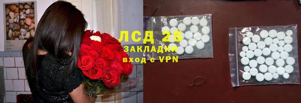стафф Алексин