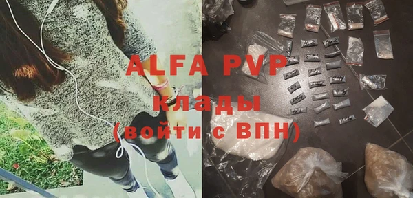 прущие грибы Алзамай
