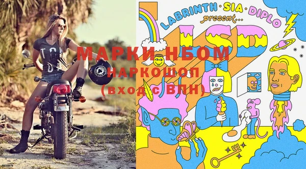 стафф Алексин