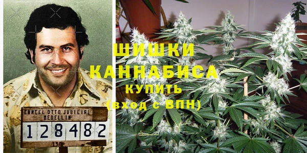 прущие грибы Алзамай