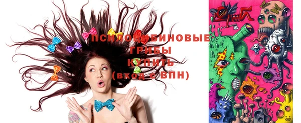 прущие грибы Алзамай