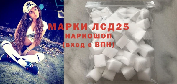 прущие грибы Алзамай