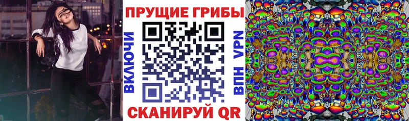 Галлюциногенные грибы мухоморы Хвалынск