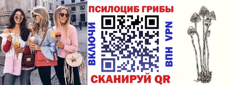 ОМГ ОМГ   где найти   Хвалынск  Галлюциногенные грибы Psilocybine cubensis 